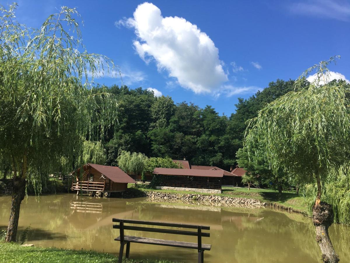 Cabana Paradisul Verde Neamt Târgu Neamţ Exterior foto