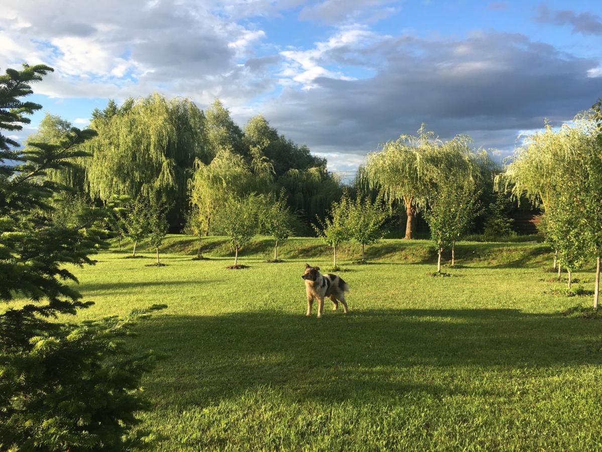 Cabana Paradisul Verde Neamt Târgu Neamţ Exterior foto